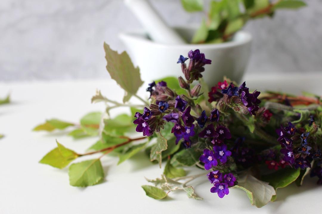 Balancing Line de CASMARA, el poder de los antioxidantes naturales para la piel