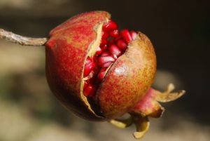 vitaminas para la piel